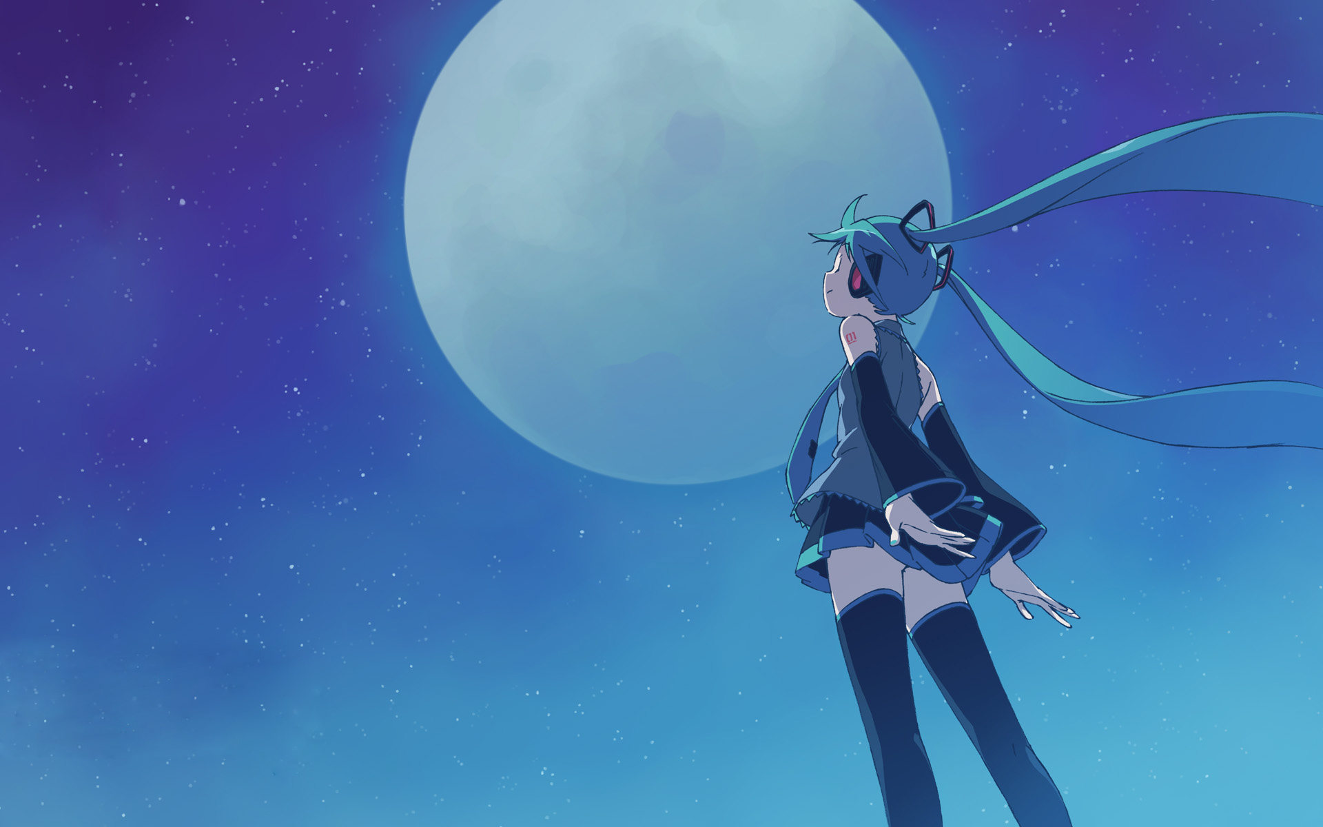 初音未来初音未来 初音未来初音初音高清宽屏壁纸一 9