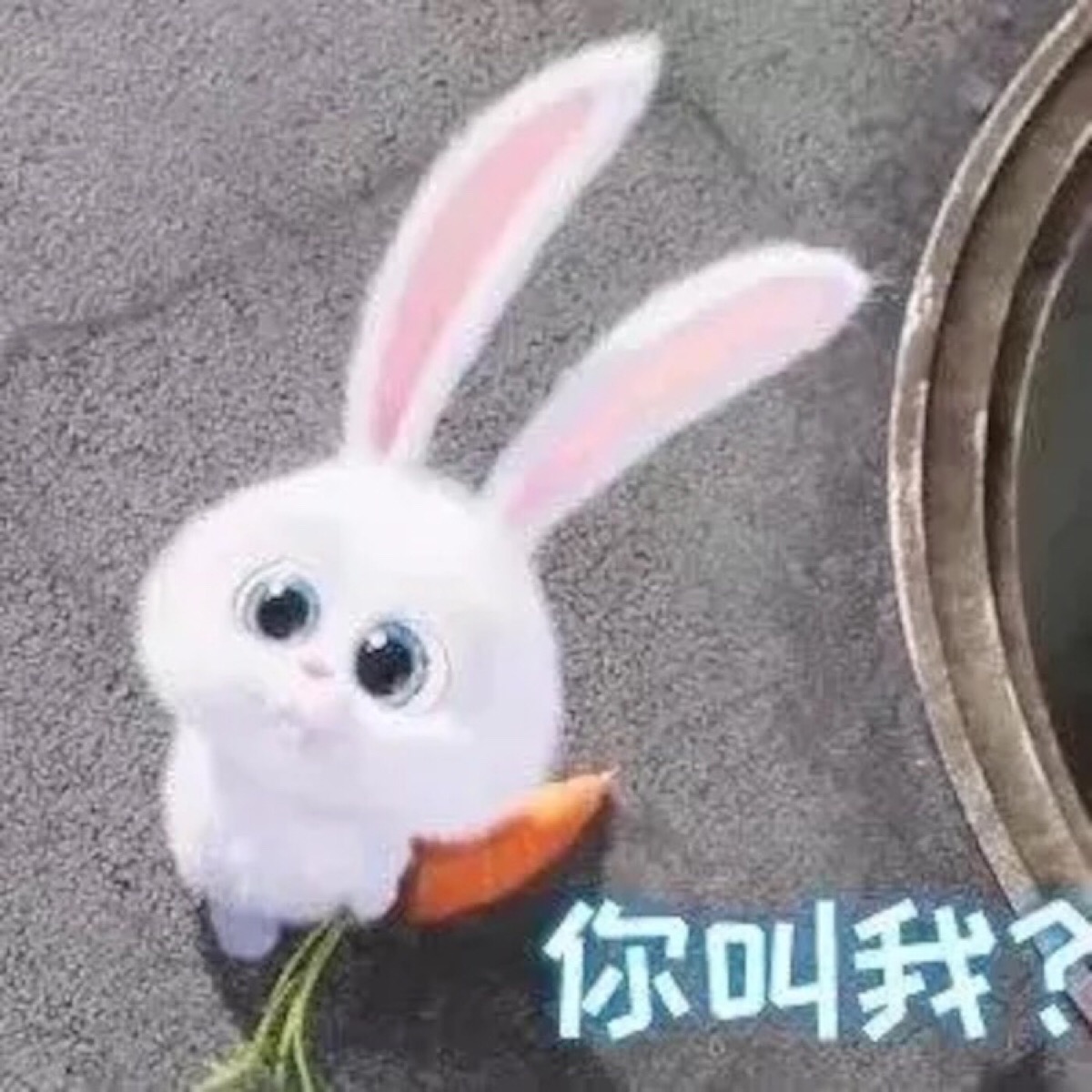 兔兔表情包可爱-千图网